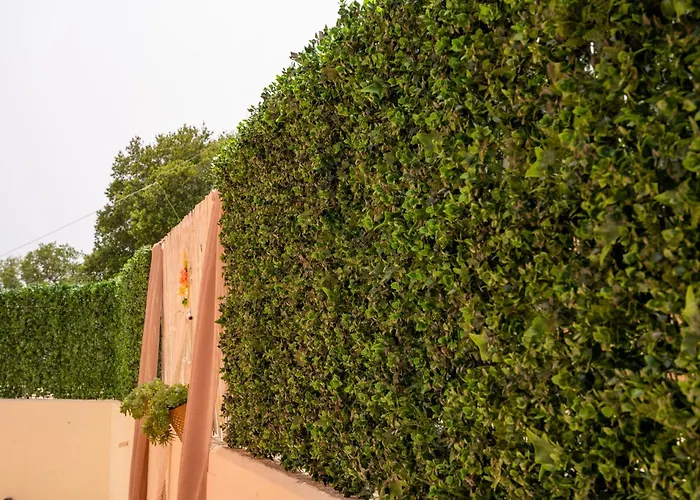 Hotel Crystal Palace - Vista Skala (Kefalonia)