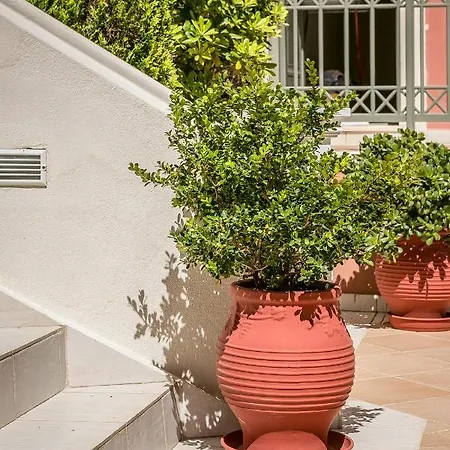 Ξενοδοχείο Crystal Palace - Vista *